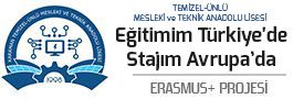 Eğitimim Türkiye'de Stajım Avrupa'da Projesi